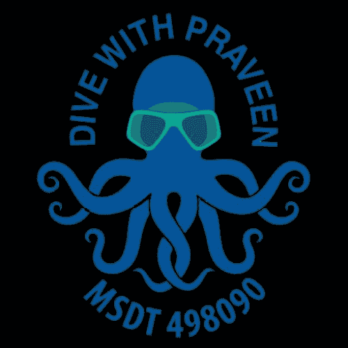 1746608249_Untitled design.png